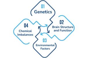Causes Bipolar Disorder